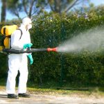Disinfestazione e derattizzazione Roma