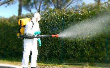 Disinfestazione e derattizzazione Roma