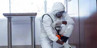 Ditta di Disinfestazione Roma