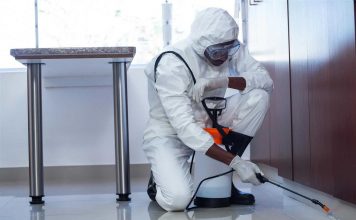 Ditta di Disinfestazione Roma