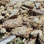 Ritiro e Raccolta Calcinacci Roma