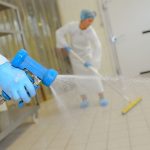 Disinfestazioni Roma e nel Lazio