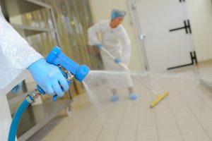 Disinfestazioni Roma e nel Lazio