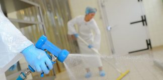 Disinfestazioni Roma e nel Lazio