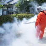 Disinfestazioni Roma per privati