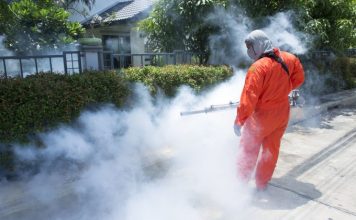 Disinfestazioni Roma per privati