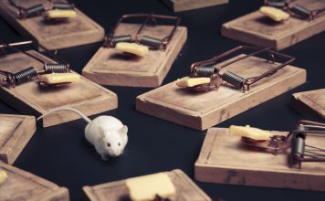 Derattizzazione Roma E Provincia