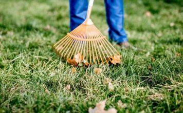 Manutenzione giardini Roma Eur