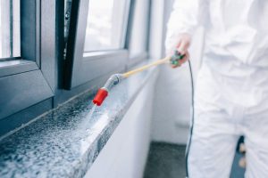 Disinfestazione Blatte e scarafaggi Roma