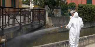 Disinfestare mosche a Roma