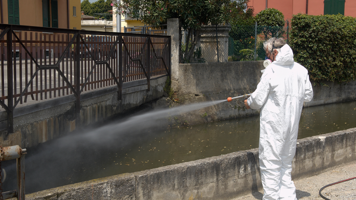 Disinfestare mosche a Roma