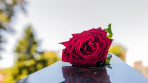 Organizzazione del funerale roma