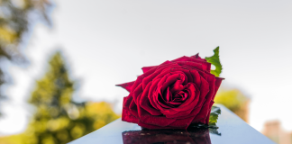 Organizzazione del funerale roma