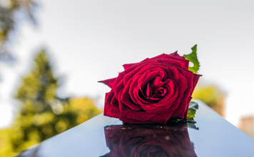 Organizzazione del funerale roma
